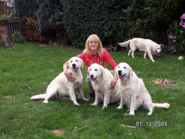 C-Wurf 030.jpg - Charming Melody mit Nachzucht "See the light of day...."